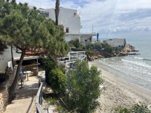 chiringuito-del-puerto-dehesa-campoamor