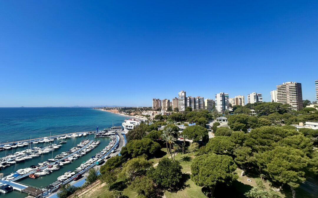 MEJORES ZONAS PARA COMPRAR CASA EN DEHESA DE CAMPOAMOR 2026